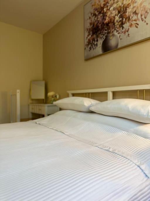 Stylish 2 Bedrooms Flat In A Quiet Cul-De-Sac Area, Near Sheffield City Centre With Free Parking Экстерьер фото