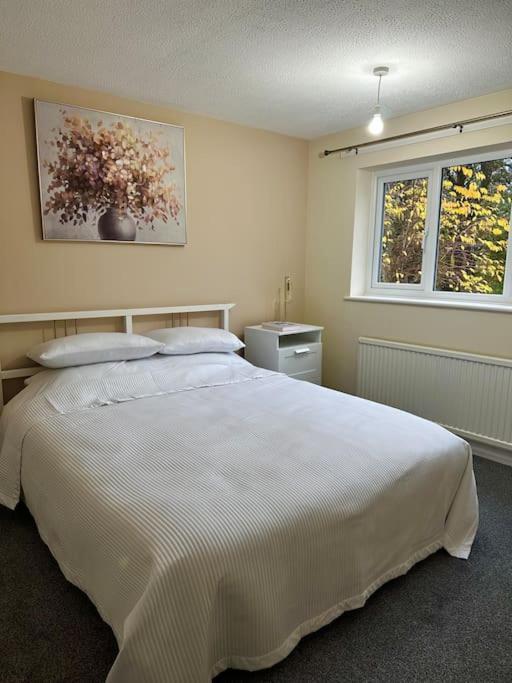 Stylish 2 Bedrooms Flat In A Quiet Cul-De-Sac Area, Near Sheffield City Centre With Free Parking Экстерьер фото